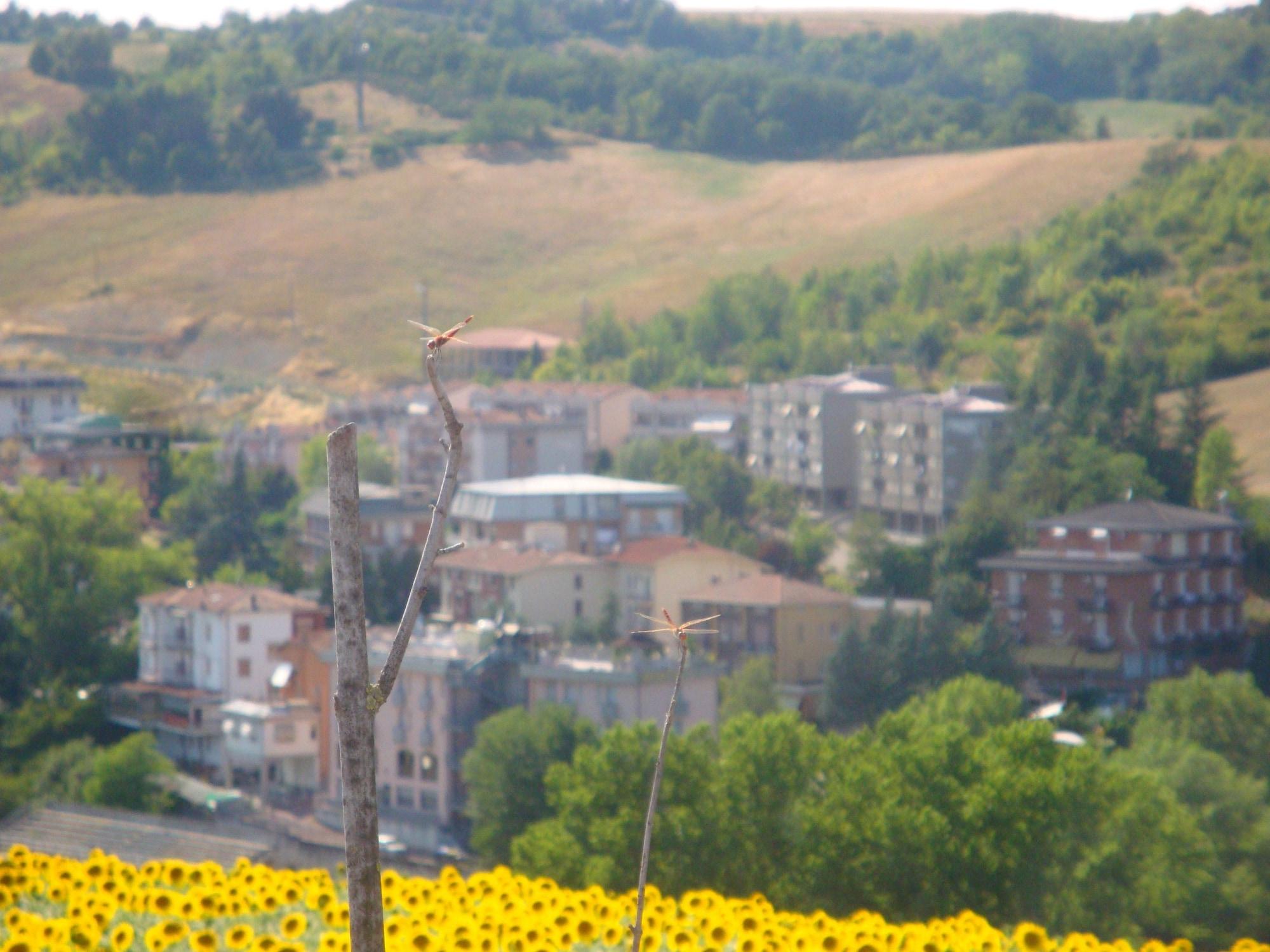 Garden Hotel Tabiano Salsomaggiore Terme Kültér fotó